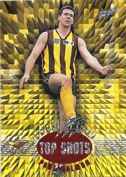 1996 Select AFL - Top Shots #TS6 Paul Salmon Front